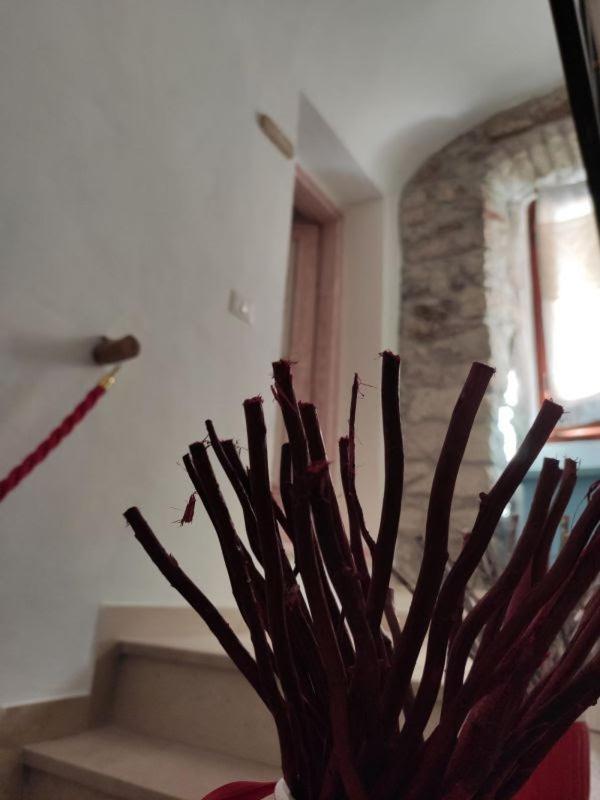 Regnos Altos Boutique Rooms 보사 외부 사진