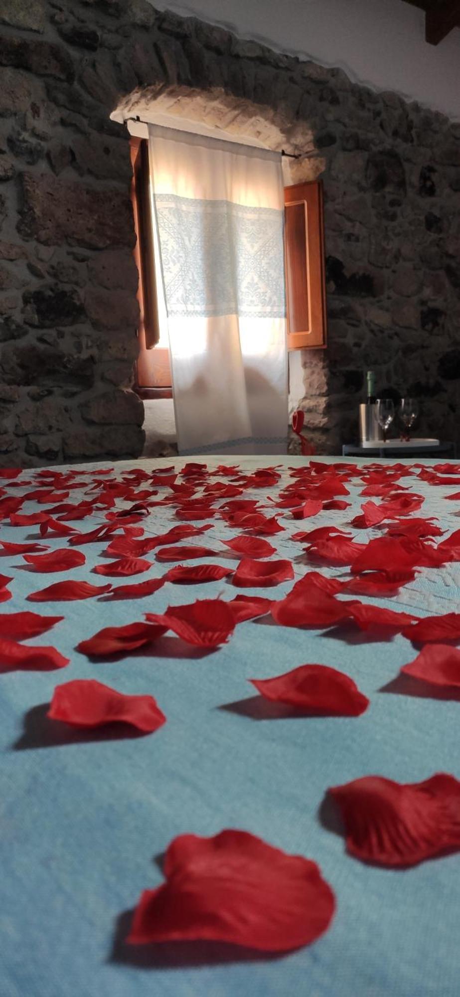 Regnos Altos Boutique Rooms 보사 객실 사진